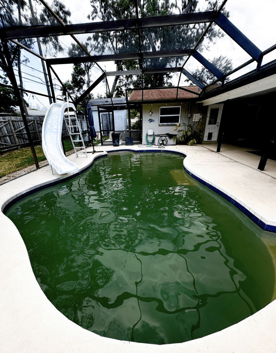 A fully green, algae-affected backyard pool before Blue Avenue Pools recovery